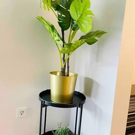 Luxury New Flat With Terrace & Parking-beg1 Apartamento